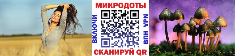 Псилоцибиновые грибы мицелий  Купить где  Талица 